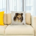 thumbnail image 2 of 3drose, Rough Collie Portrait, 16x16 inch Pillow Case, 2 of 5