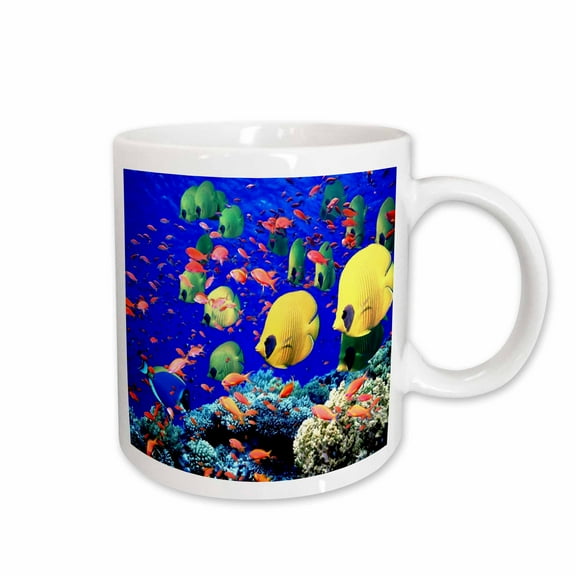 3drose, Very Colorful Fish, 15oz Mug