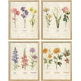 thumbnail image 2 of PixonSign Adhesive Posters Vintage Floral Birth Month Botanical Prints Antique Flower Illustrations Wall Arts, Set of 4 Multicolor Nature Wilderness Canvas Prints for Home Decor - 11"x14", 2 of 5