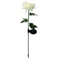 thumbnail image 1 of Lámpara Solar de crisantemo, 2 uds., luz de jardín, flores artificiales, césped, paisaje, jardín, decoración exquisita, creativa Iluminación y accesorios Crisantemo blanco Crisantemo Blanco Bearachild HA073440-01, 1 of 6