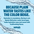 thumbnail image 4 of Splash Mandarin Orange Flavored Water, 16.9 Fl Oz, 6-Pack Plastic Bottles, 4 of 5
