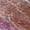 Paprika, variant on Addison Rugs Chantille Indoor/Outdoor Transitional Abstract Brown Machine Washable Rectangle Rug, 10' x 14'