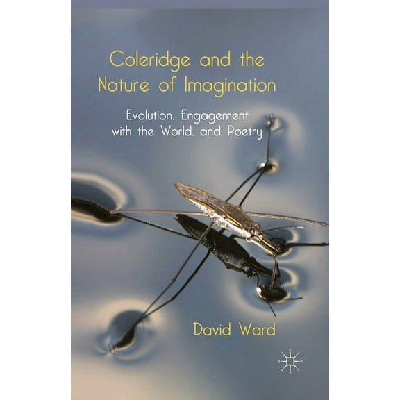 Coleridge and the Nature of Imagination: Evolution, Engagement with the World, and Poetry, (Paperback)