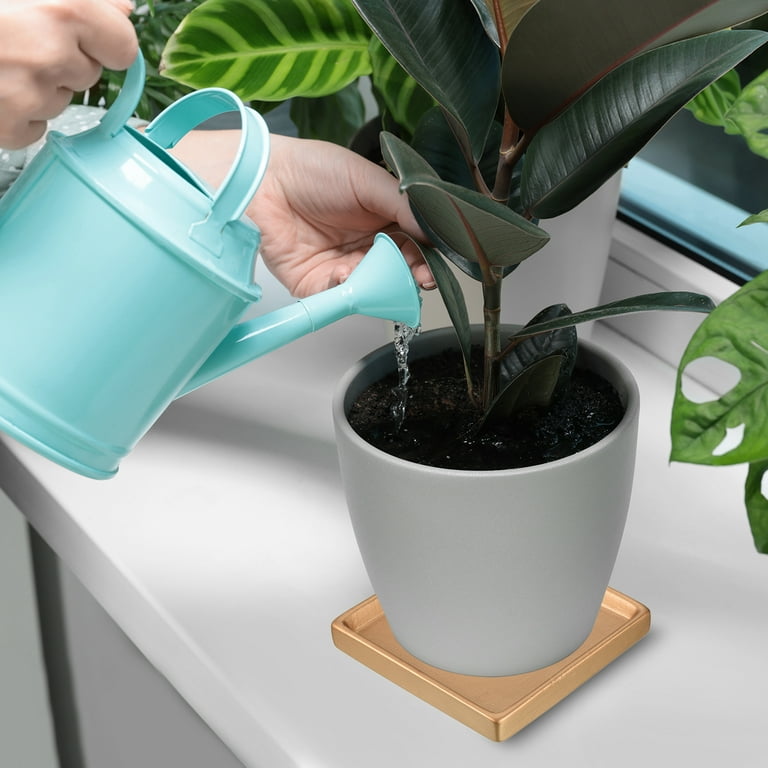 Supreme - 新品 Supreme Mini Planters シュプリーム ミニ