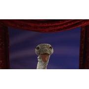 Folkmanis Puppets Ostrich Stage Hand Puppet