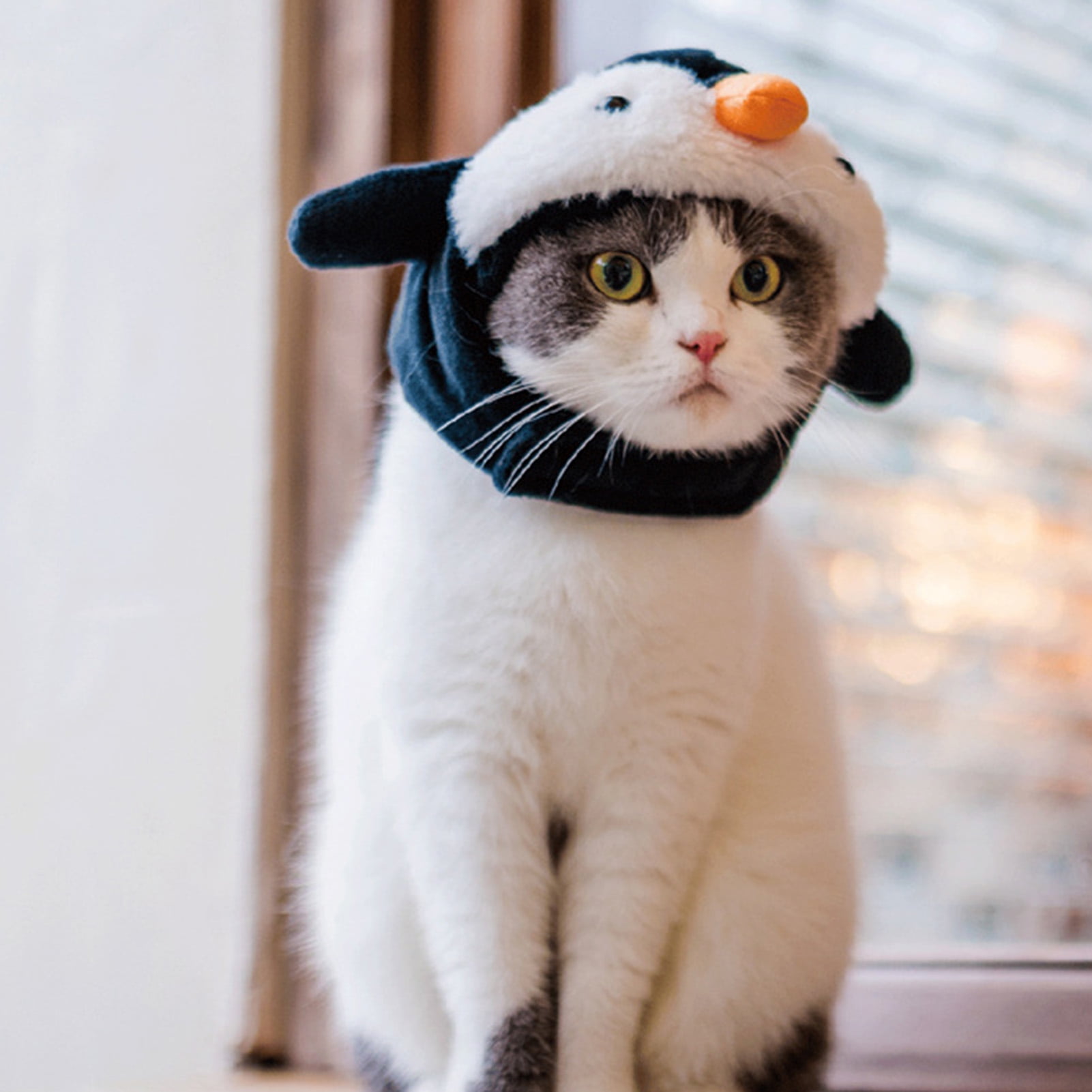 Penguin costume for cat discount