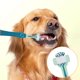 thumbnail image 2 of Cepillo de dientes para mascotas Cepillo de dientes para perros Cepillo de dientes para gatos Cepillo de dientes de tres cabezales Cepillo de dientes para perros Artículos para mascotas, 2 of 5