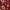 Hawaii Red Insert and Trim, variant on CalTrend Front NeoSupreme Seat Covers for 2006-2009 Dodge Ram 2500 - DG355-04NN Blue Insert with Black Trim