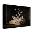 thumbnail image 3 of Trademark Fine Art Heather Bonadio LepidopterologyFramed Art Canvas Wall Art - 12x19, 3 of 5
