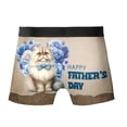 thumbnail image 2 of Persian Proud Dad Happy Father's Day All Over Print Boxer Briefs Underwear for Men Dad Cat Lover Kitten Owner Gifts - 02008, 2 of 6