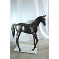thumbnail image 5 of Nifao Life Size Aluminum Arabian Colt Horse Statue for Decoration – Garden Outdoor Decor Sculpture, 50"L x 15"W x 52"H, 5 of 12