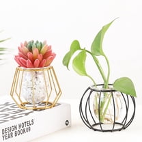 Worgeous Home Vase Hydroponic Vase Black Glass 1Pcs