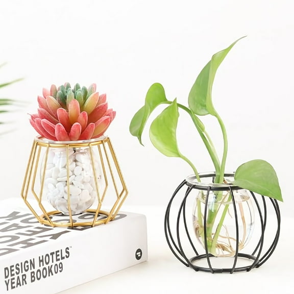 Worgeous Home Vase Hydroponic Vase Black Glass 1Pcs