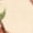 Apricot Color, variant on Women'S Floral Knitted Long Sleeve Crew Neck Going Out Slim Fit Tops Fall Outfits Trendy Clothes Green L