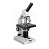 Microscope