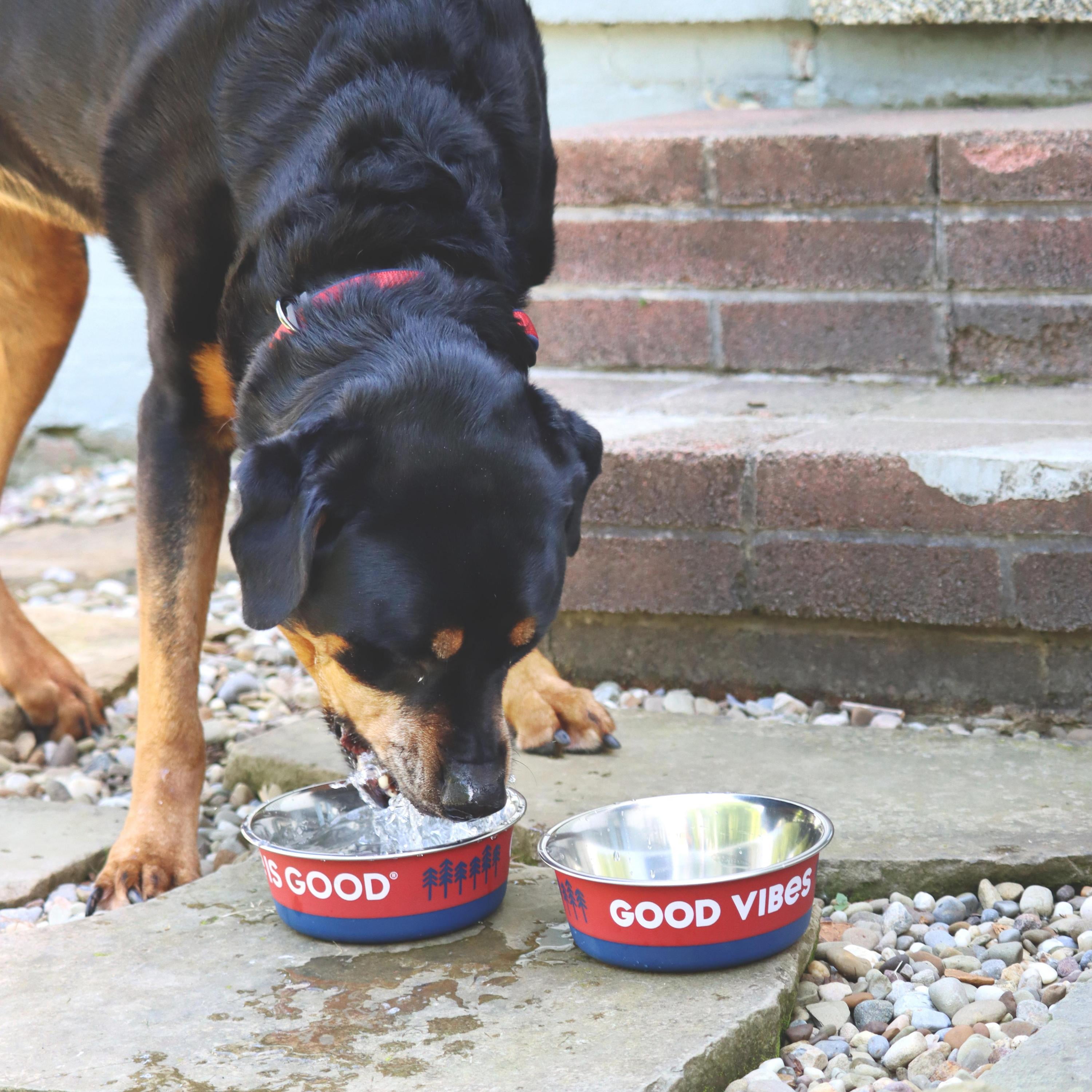 Life is Good® Stainless Pet Bowl, Red, 28 oz