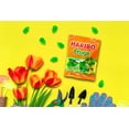 thumbnail image 3 of HARIBO Frogs Gummies Peach Flavor Gummy Candy, 8oz, Share Size Bag, 3 of 5