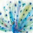 thumbnail image 2 of June, Dina 12x12 White Modern Wood Framed Museum Art Print Titled - Peacock Glory V, 2 of 4