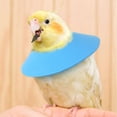 thumbnail image 3 of Adjustable Soft Neck Collar for Parrots and Small Bird Proof Pet Recovery, 3 of 6