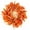 C, variant on THOPBPRK Fall Wreath for Front Door, 20 Inch Thanksgiving Wreath with Golden Maple Leaves, Artificial Autumn Welcome Sign for Porch, Wall & Indoor Outdoor Home Decor, 1PackC