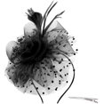 thumbnail image 1 of LinYooLi Chapeaux de Fête pour Femmes, Bandeau de Fête, Chapeaux de Derby Kentucky, Accessoire de Tête, 1 of 8