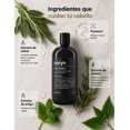 thumbnail image 4 of noryn - Shampoo para Hombre Anticaída y Control Grasa, Menta y Lima, 480 ml, 4 of 7