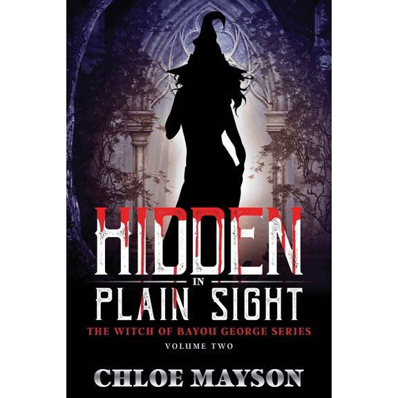 The Witch of Bayou George: Hidden in Plain Sight (Series #2) (Paperback)