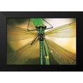 thumbnail image 2 of Podt, Martin 24x17 Black Modern Framed Museum Art Print Titled - Glas in Lood, 2 of 5