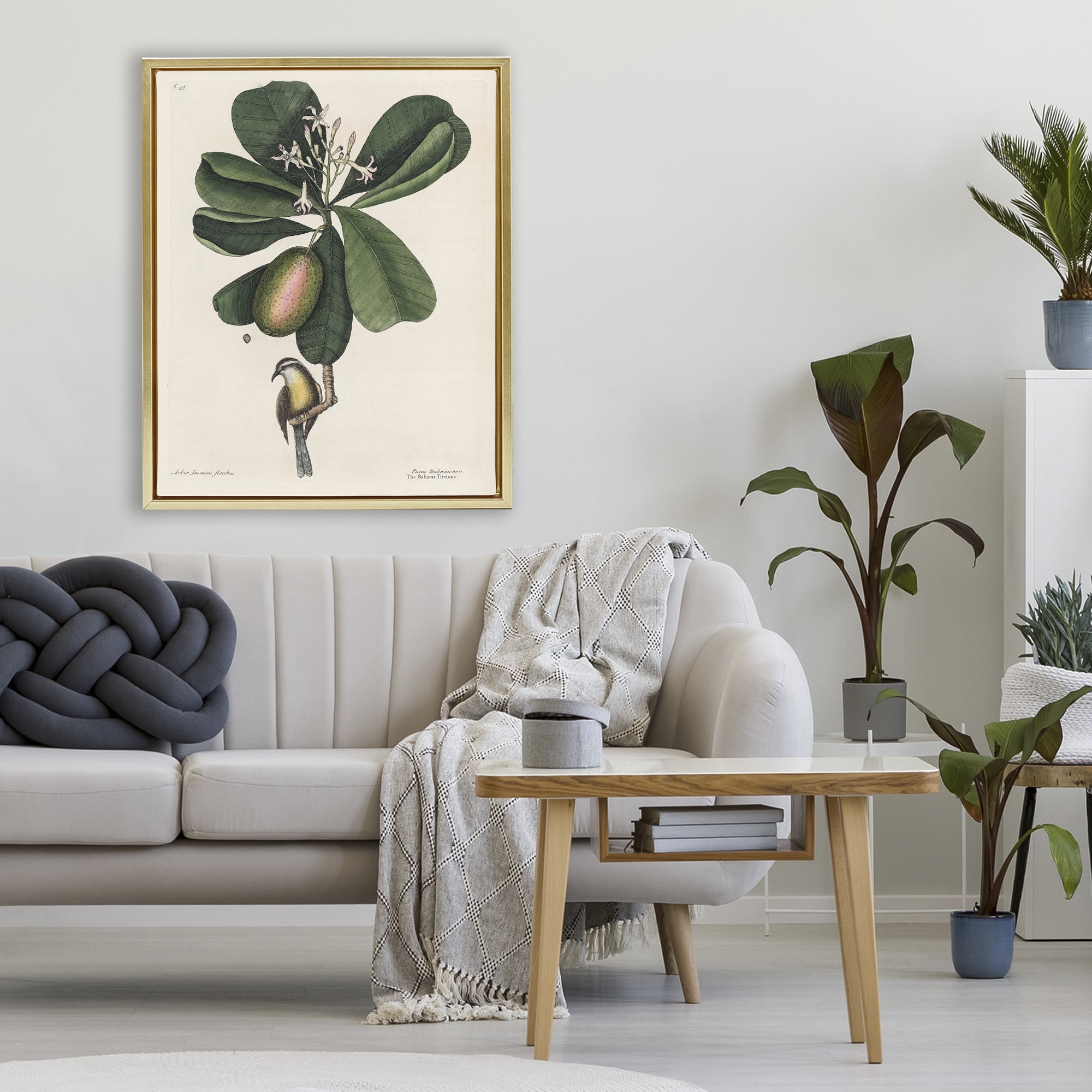 Stupell Industries Catesby Flora & Fauna Gold Framed Floater Canvas Wall Art, design by Print Collection