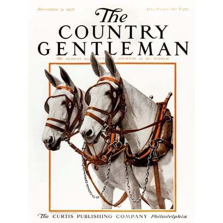 Cover of Country Gentleman agricultural magazine from the early 20th century  Stretched Canvas - Remsberg Inc  Design Pics (26 x (Country Living Magazine Subscription Best Price)