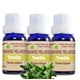thumbnail image 1 of PAQ. 3 ACEITES ESENCIALES TOMILLO GRADO ALIMENTICIO 100% NATURAL, 1 of 3