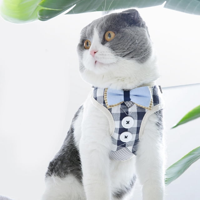 Arnés Para Mascotas, Chaleco De Malla Transpirable Arnés Para Mascotas Arnés Para Gatitos Arnés Con Correa Para Gatos Estilo Chaleco Correa Para El Pecho Para Mascotas Arnés ANGGREK Otros