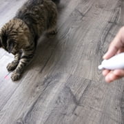 SmartyKat Loco Laser Electronic Light Laser Cat Toy, Battery Powered