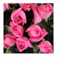 thumbnail image 3 of Bouquet de rosas. con 18 tallos, 3 of 4