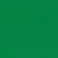 thumbnail image 4 of Playera Blusa De Osita Lista Para Viajar Fashion Moda Casual Ropa Para Mujer Color Verde Talla Grande Marca Emil SaEs, 4 of 4