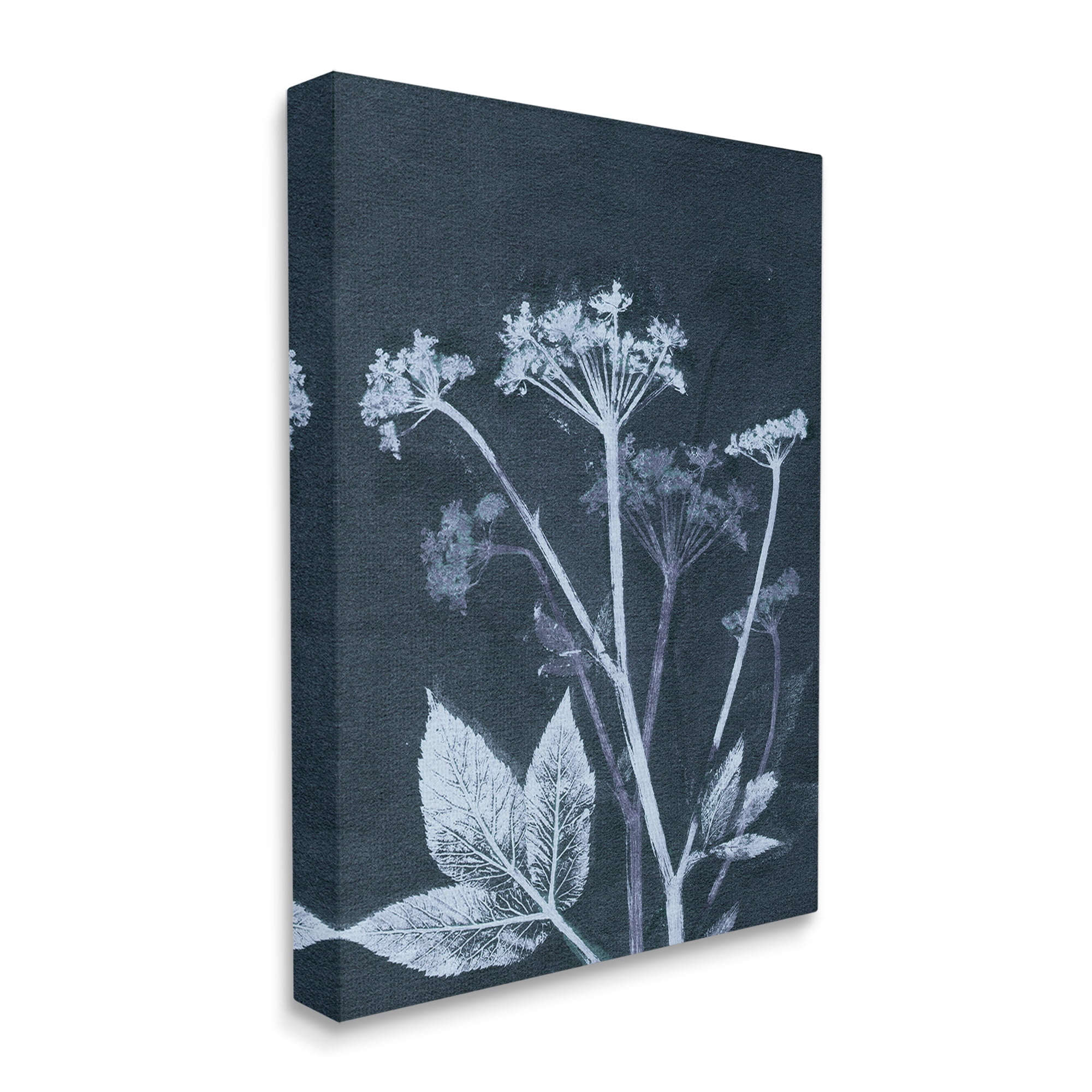 Stupell Industries Spring Botanical Shapes Botanical & Floral Painting Gallery Wrapped Canvas Art Print Wall Art, 30 x 40