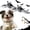 2pcs, variant on Rechargeable Flying Bat Dog Toy, Realistic Bat Flight, Authentic Chirping / Feather Sounds, Hanging and Ground Play