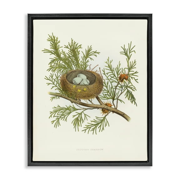 Stupell Industries Forest Bird Nest on Branch Plants & Flowers Painting Black Floater Framed Canvas Art Print Wall Art, 17 x 21