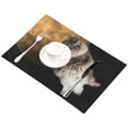 thumbnail image 2 of ECZJNT Funny Cat Flying Sky Placemat Plate Holder Set of 2, Full Moon Starry Night Table Mats Protector 12x18 inch, 2 of 5