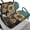 Sunflower Leopard Print, variant on Aplkyhs Leopard Print Golf Cart Seat Covers Breathable Club Car Bench Chair Cover Easy to Install Universal Golf Cart Accessories Comfort Club Car Body Kit Club Car Seat Covers