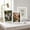 White, variant on 8x10 Picture Frame, Display Pictures 5x7 with Mat or 8x10 Prints without Mat, Wall Mounting or Tabletop
