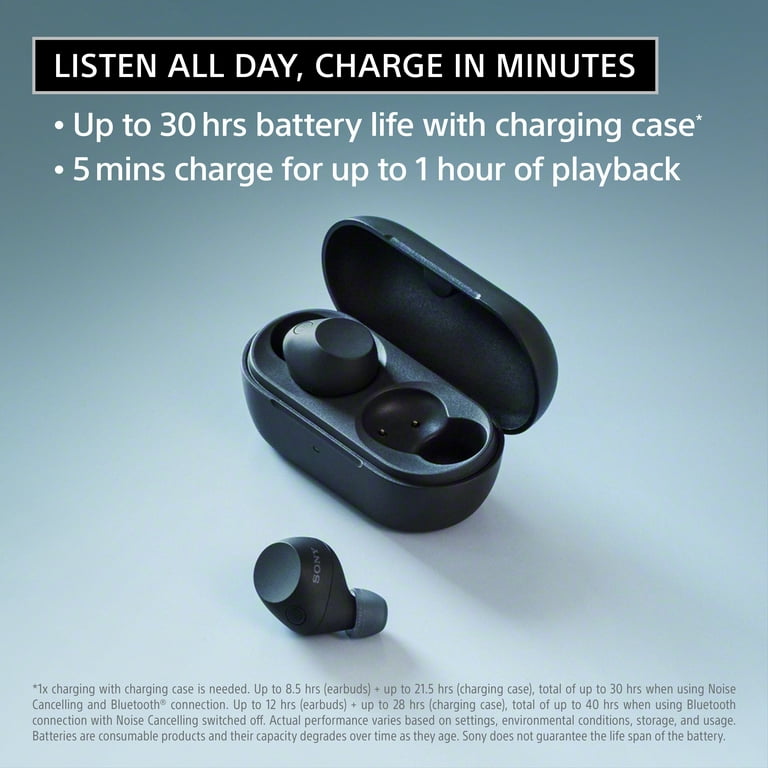 Sony WF-C710N Truly Wireless Noise-Canceling Earbuds, Black