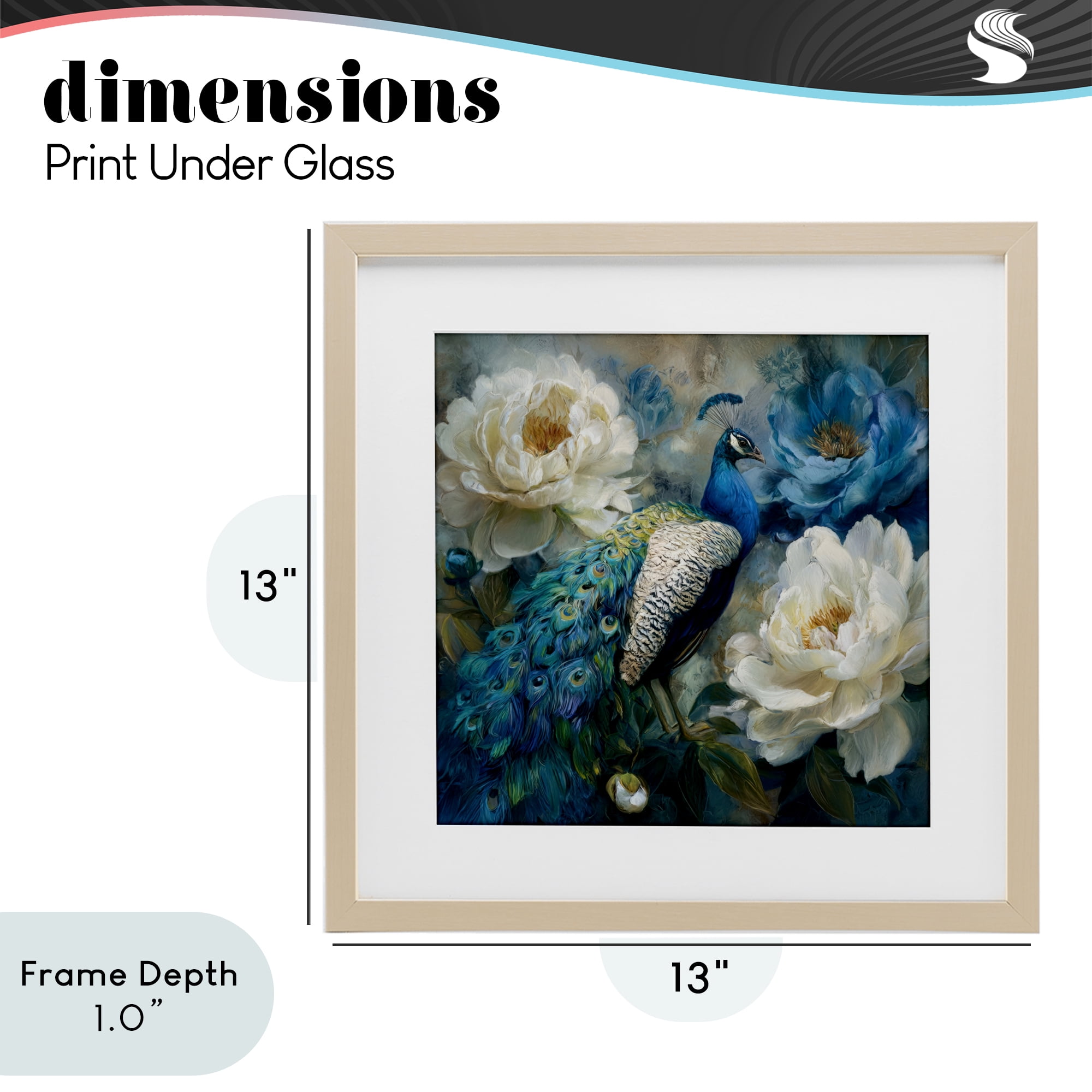 Stupell Industries Pretty Peony Peacock Birch Framed Print Under Glass, design by Tina LeCour