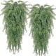 thumbnail image 1 of 2026 2 pcs Artificial Hanging Ferns Plants Vine Fake Ivy Boston Fern Hanging Plant Outdoor UV Resistant Plastic Plants (Green), 1 of 5