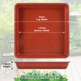 HEQUSIGNS 10 Pack Square Plant Saucer, 6 inch Plastic Plant Saucers, Durable Thicker Clear