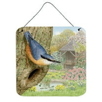 Nuthatch by Sarah Adams Wall or Door Hanging Prints