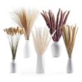 thumbnail image 2 of 120Pcs Dried Pampas Grass Bouquet Decor, Room Wedding Party Arrangements,Fall Dry Flowers Bundles Bulk Tall, 2 of 7