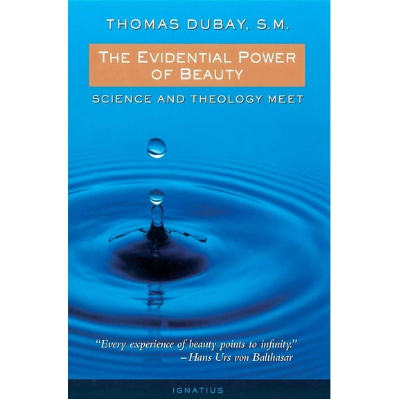 The Evidential Power of Beauty : Science and Theology Meet (Paperback)