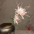thumbnail image 1 of Epiphyllum blanco dorado de 35 pulgadas para decoración de sala de estar, arreglo floral de simulación, banquete de boda, suministros de decoración de ventana, nuevo, 1 of 4