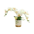 thumbnail image 4 of TISHITA Artificial Flower Faux Phalaenopsis Orchid Durable Ornament Decoration Centerpieces Potted Plants Bonsai for New Year Office White, 4 of 8